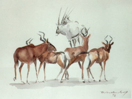 Bild Hartebeester mit Oryx von Uli Aschenborn